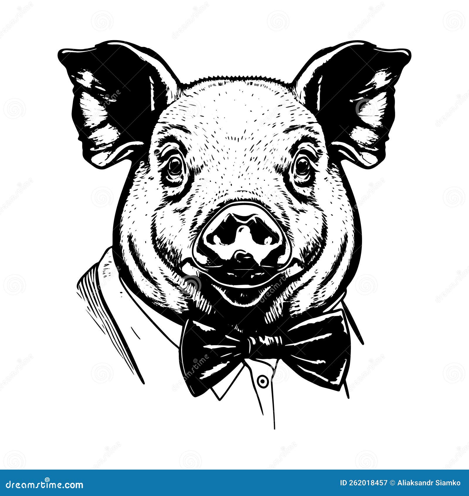 Portrait of a Pig with a Bow Stock Vector Illustration of farming