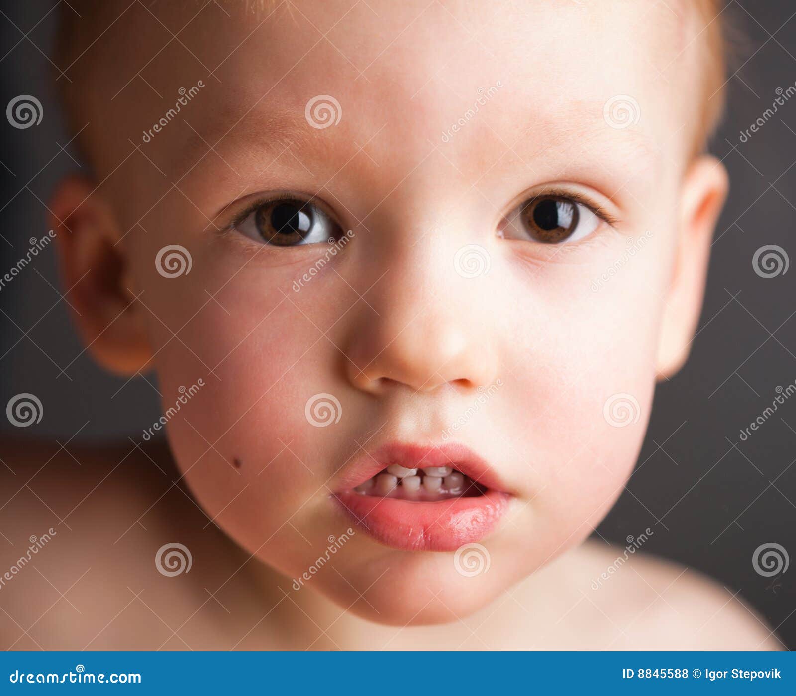 Portrait of Pretty Browneyed Boy Stock Photo Image of good, infant