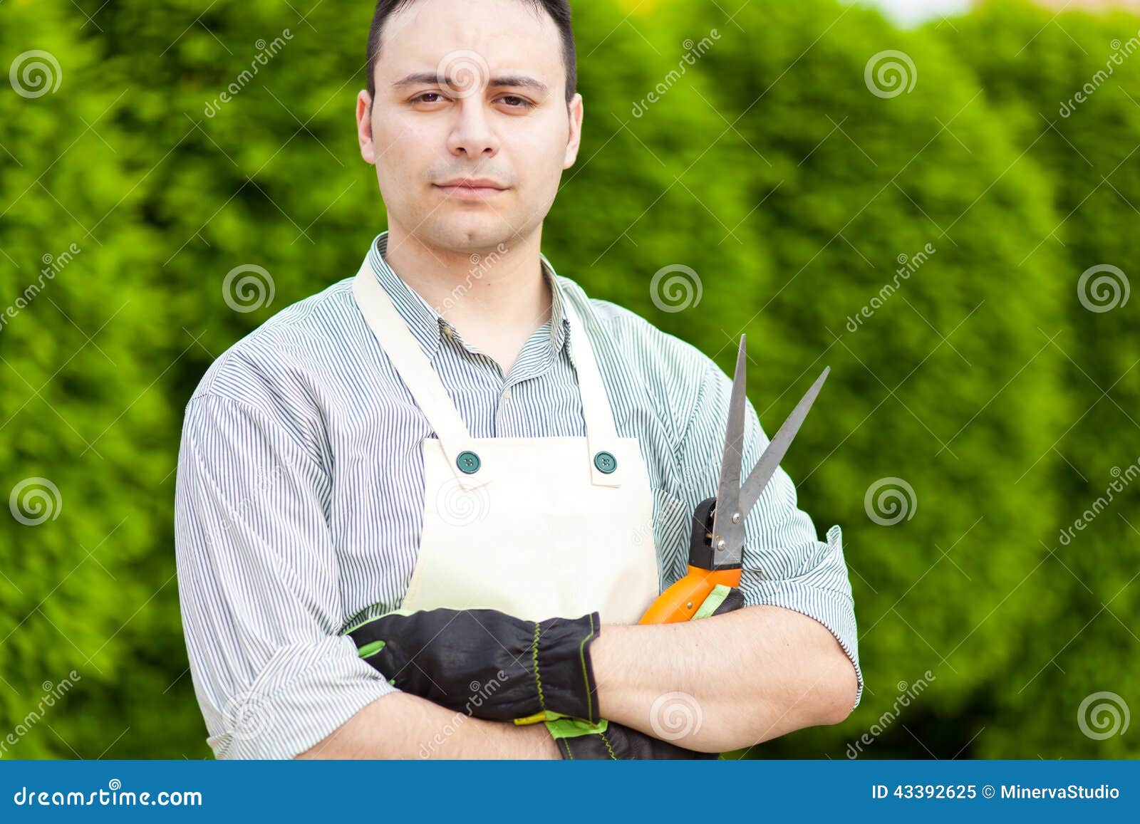 Portrait of a Professional Gardener Stock Image Image of bush, trim 43392625