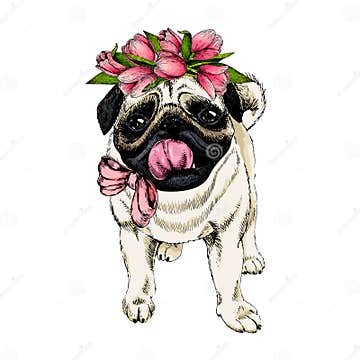 Portrait of Pug Dog Wearing Tulip Crown. Welcome Spring. Hand Drawn ...
