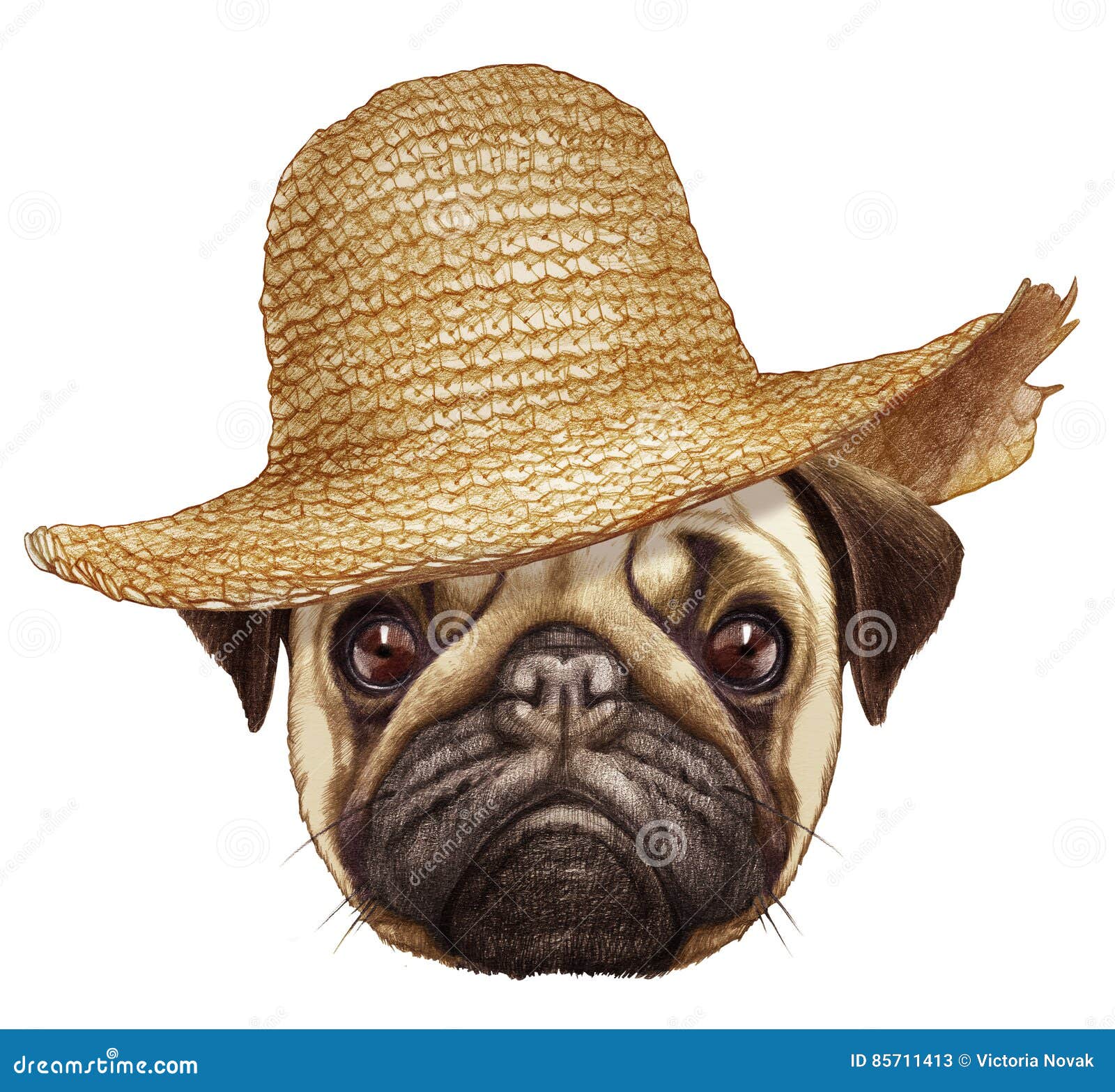 pugs straw hats