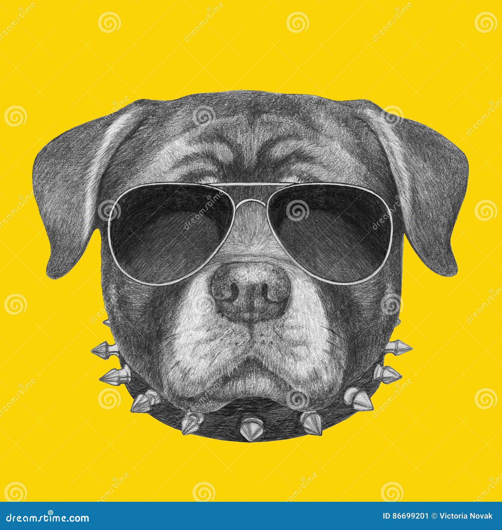 rottweiler with sunglasses