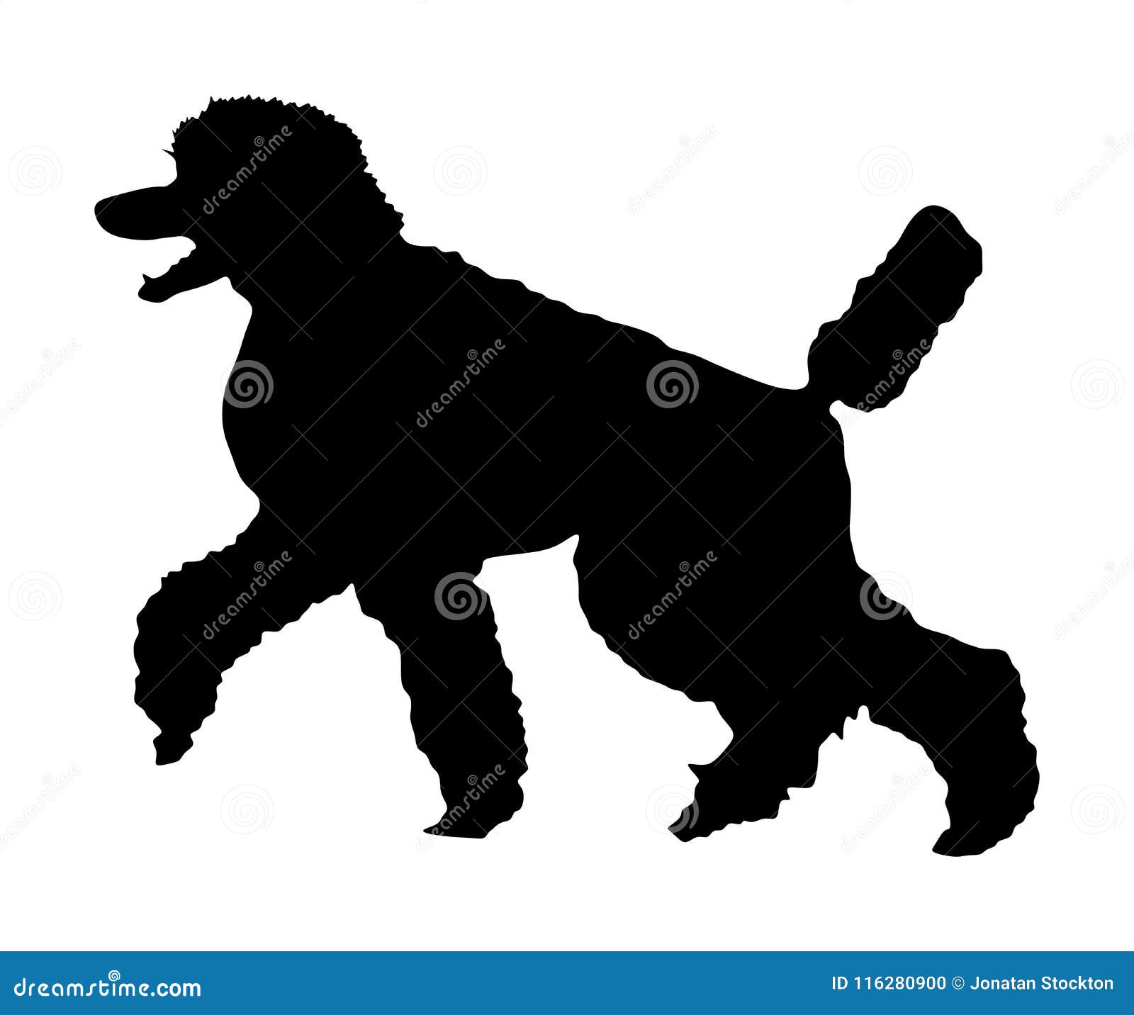 Download Portrait Of Royal Poodle Vector Silhouette. French Black Poodle Walking. Stock Illustration ...