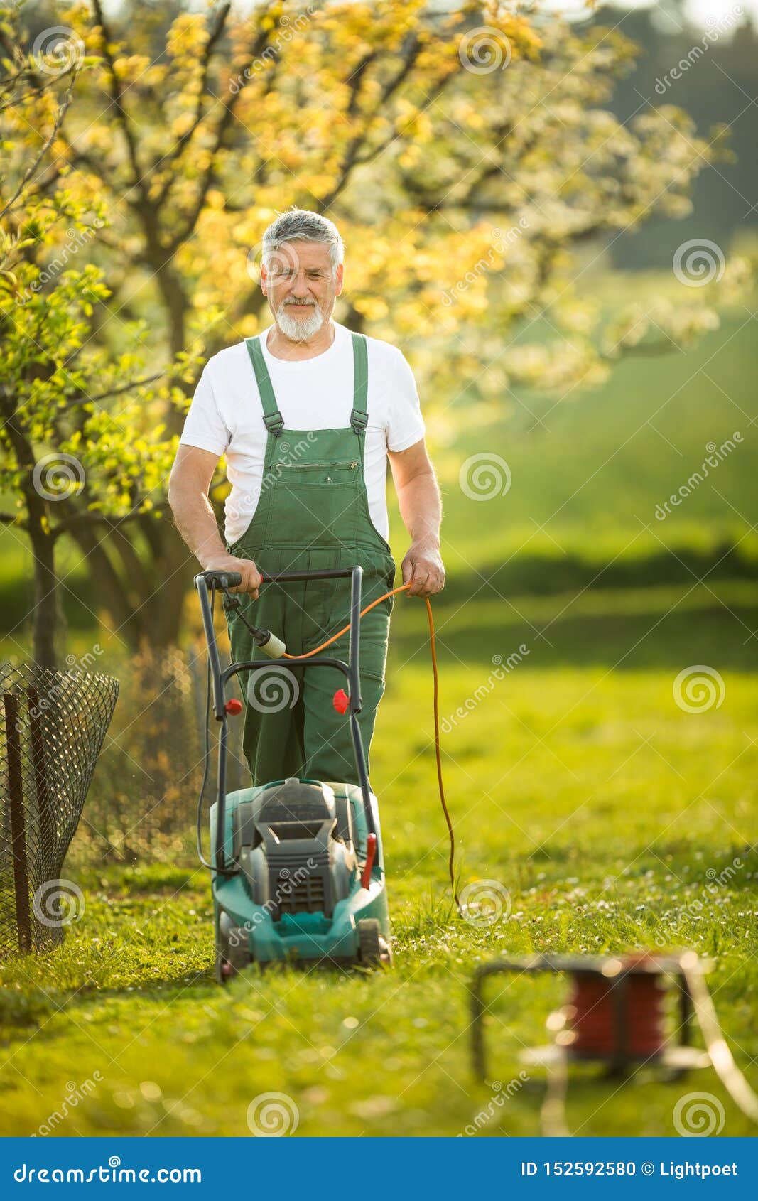 Portrait of Senior Man Gardening, Taking Care of His Lovely Orchard ...