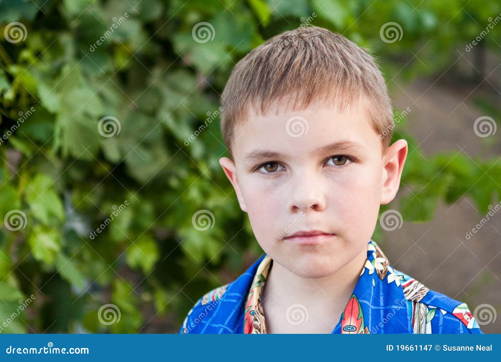 Portrait Of Serious 8 Year Old Boy Stock Image Image Of