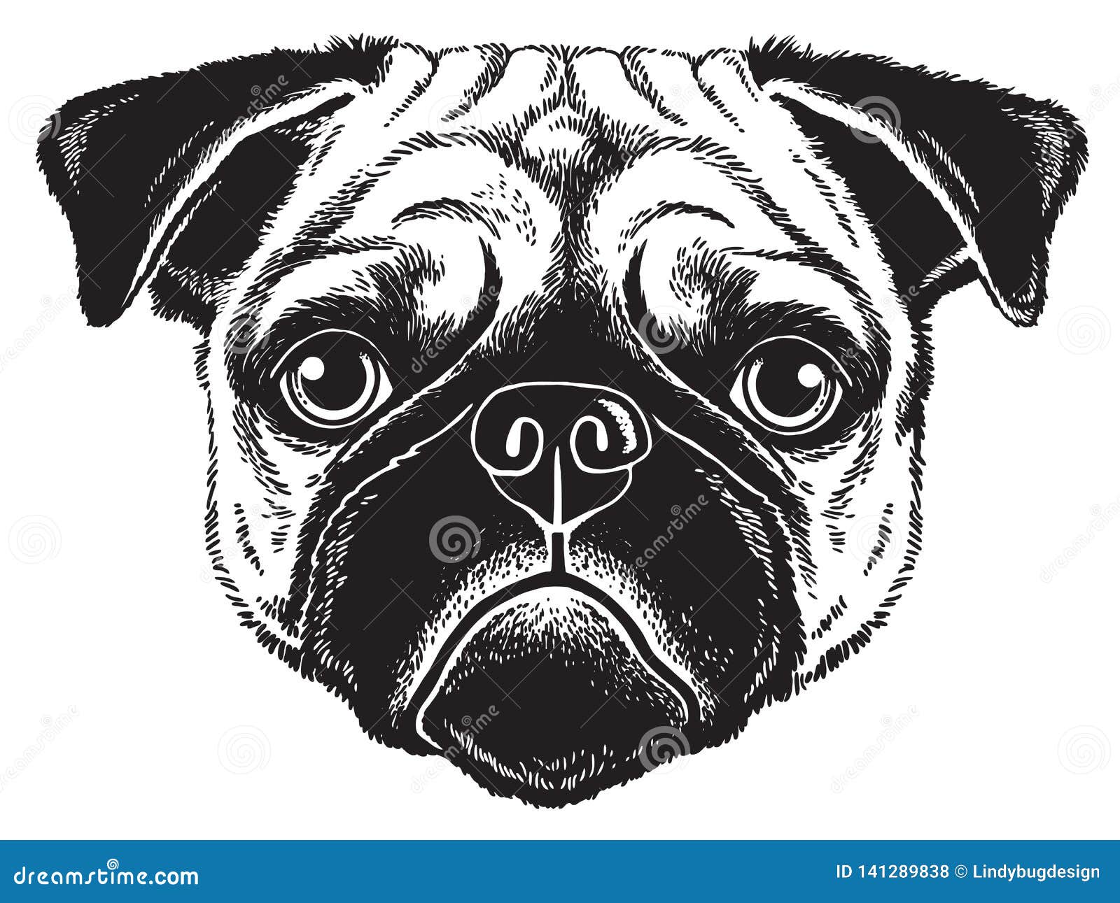 Portrait Sketch Of A Pug Dogs Face Stock Illustration