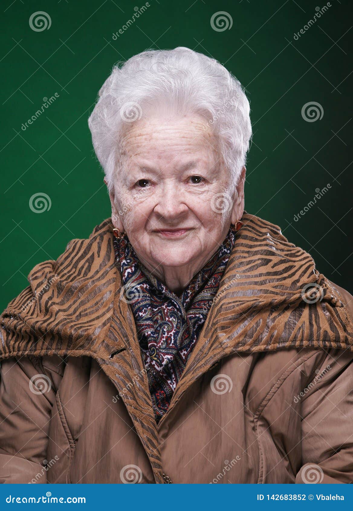 Portrait of Smiling Beautiful Old Woman Stock Photo - Image of portrait