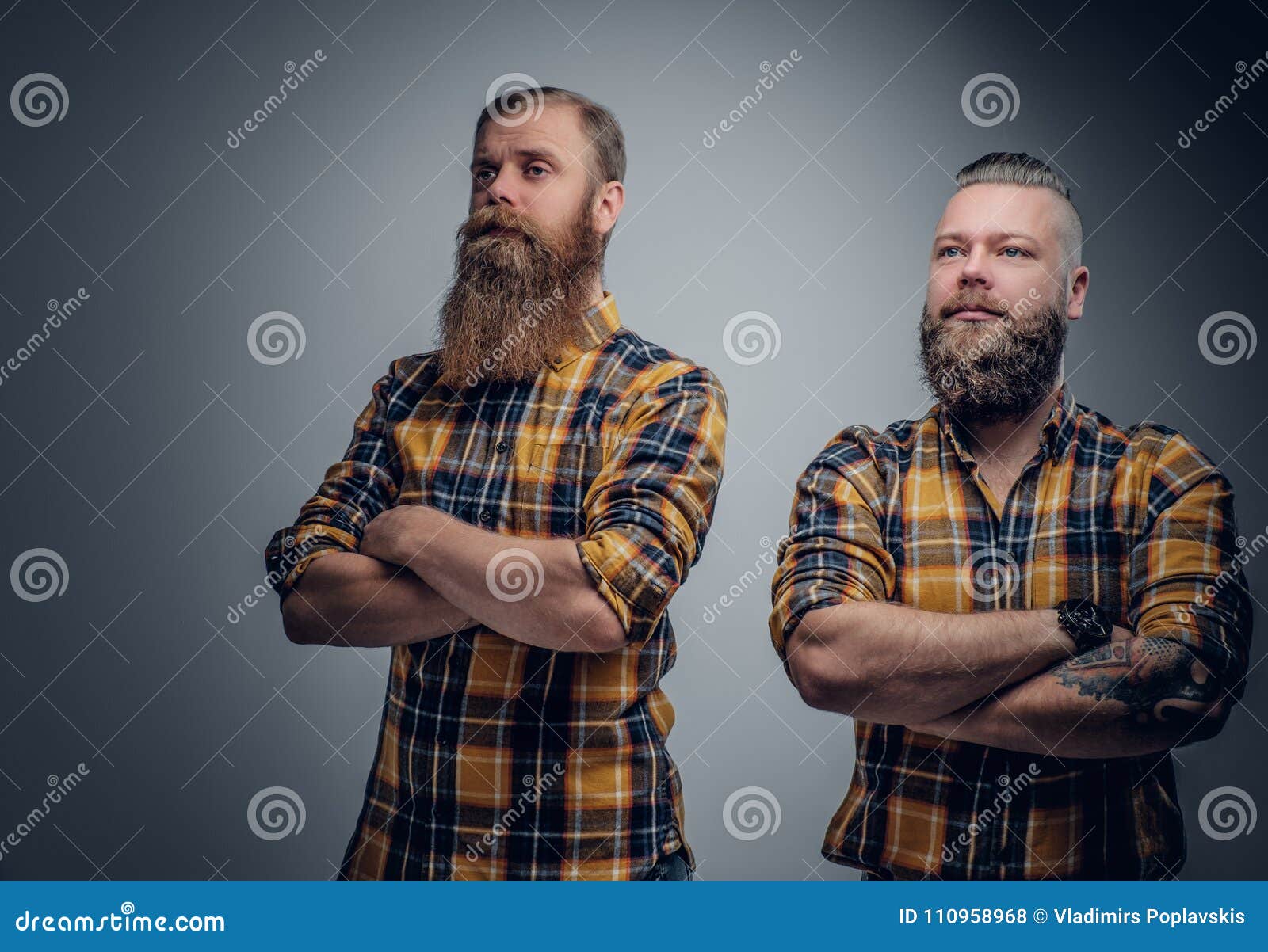 Two Bearded Men in a Plaid Shirt. Stock Photo - Image of looking ...