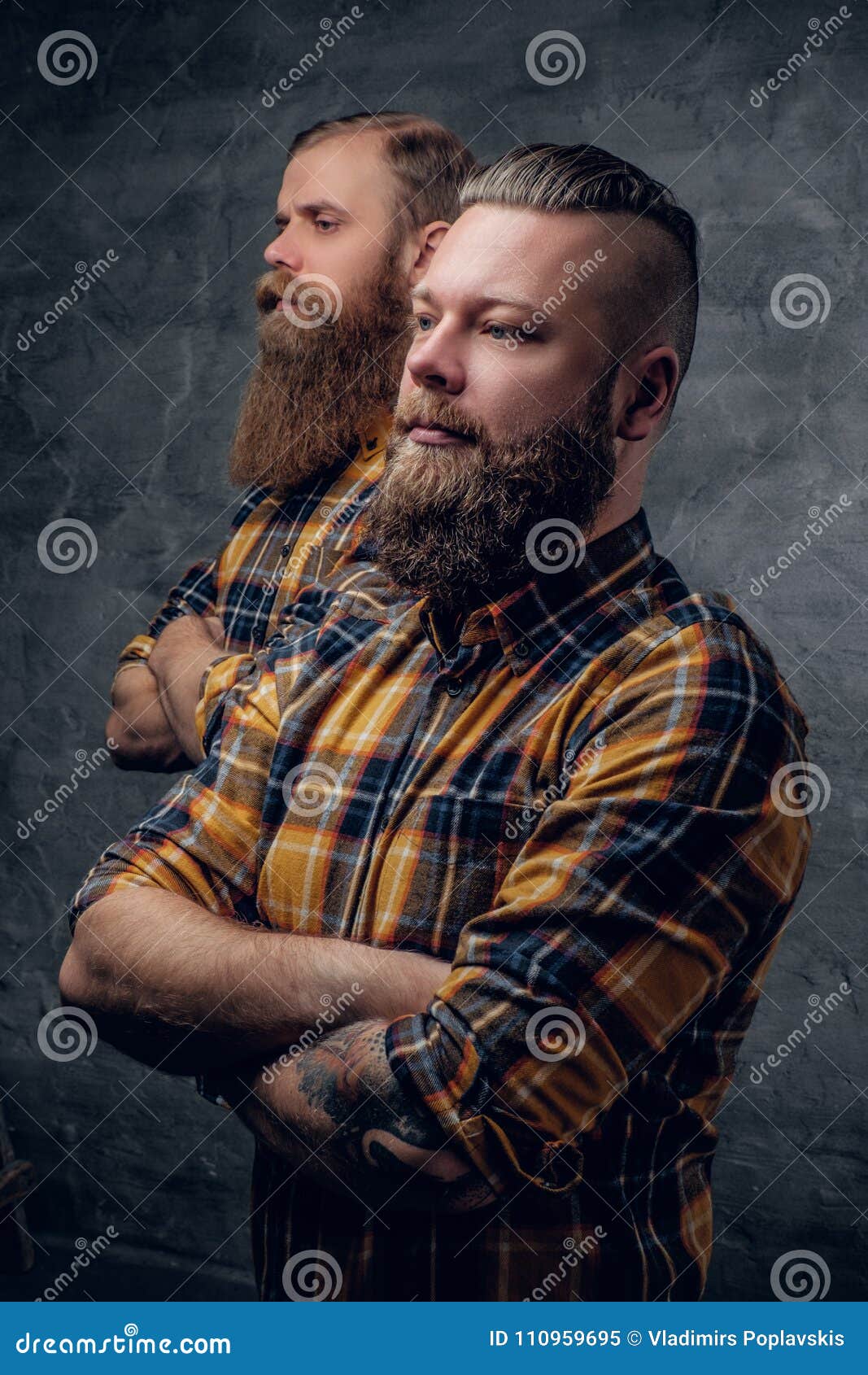 Two Bearded Men in a Plaid Shirt. Stock Image - Image of friends, model ...