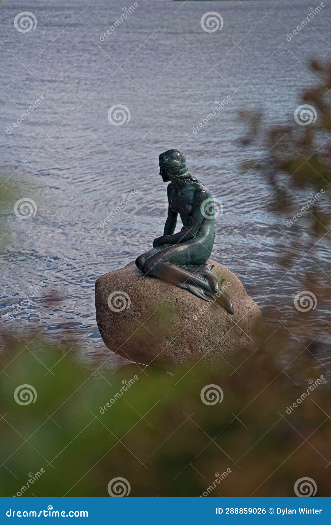 Portrait View of the Little Mermaid Statue in the City of Copenhagen ...