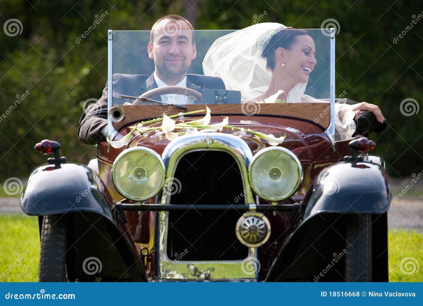 portrait of wedding couple