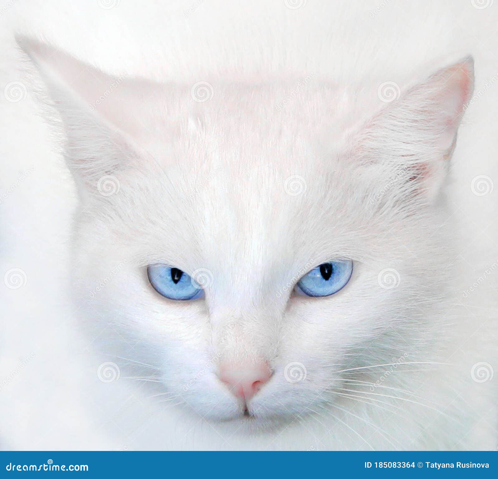 My Image 30