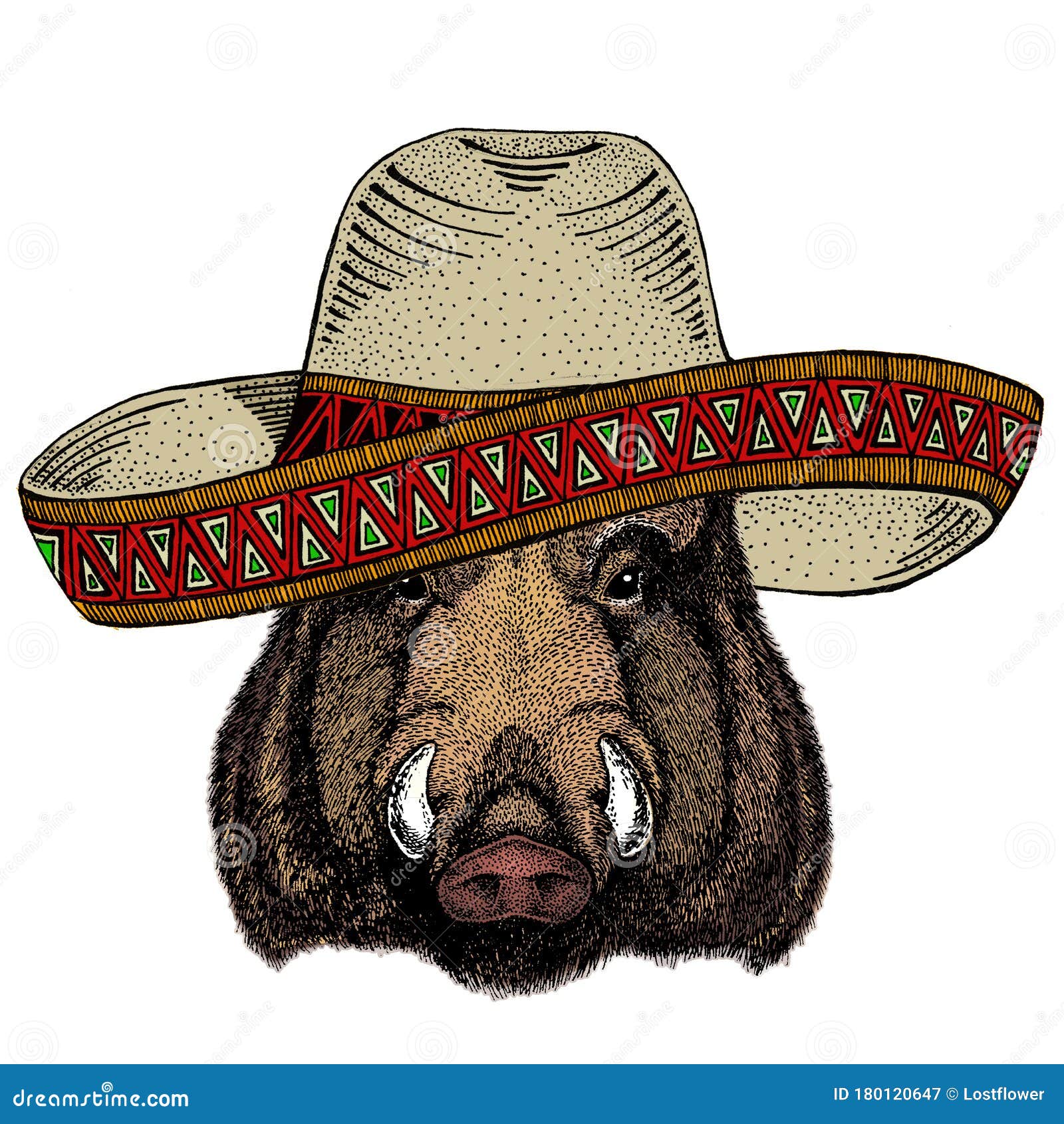 Portrait of Hog, Boar, Pig. Sombrero Mexican Hat. Face of Brave Animal. Stock Image - Image of independence, boar: 180120647