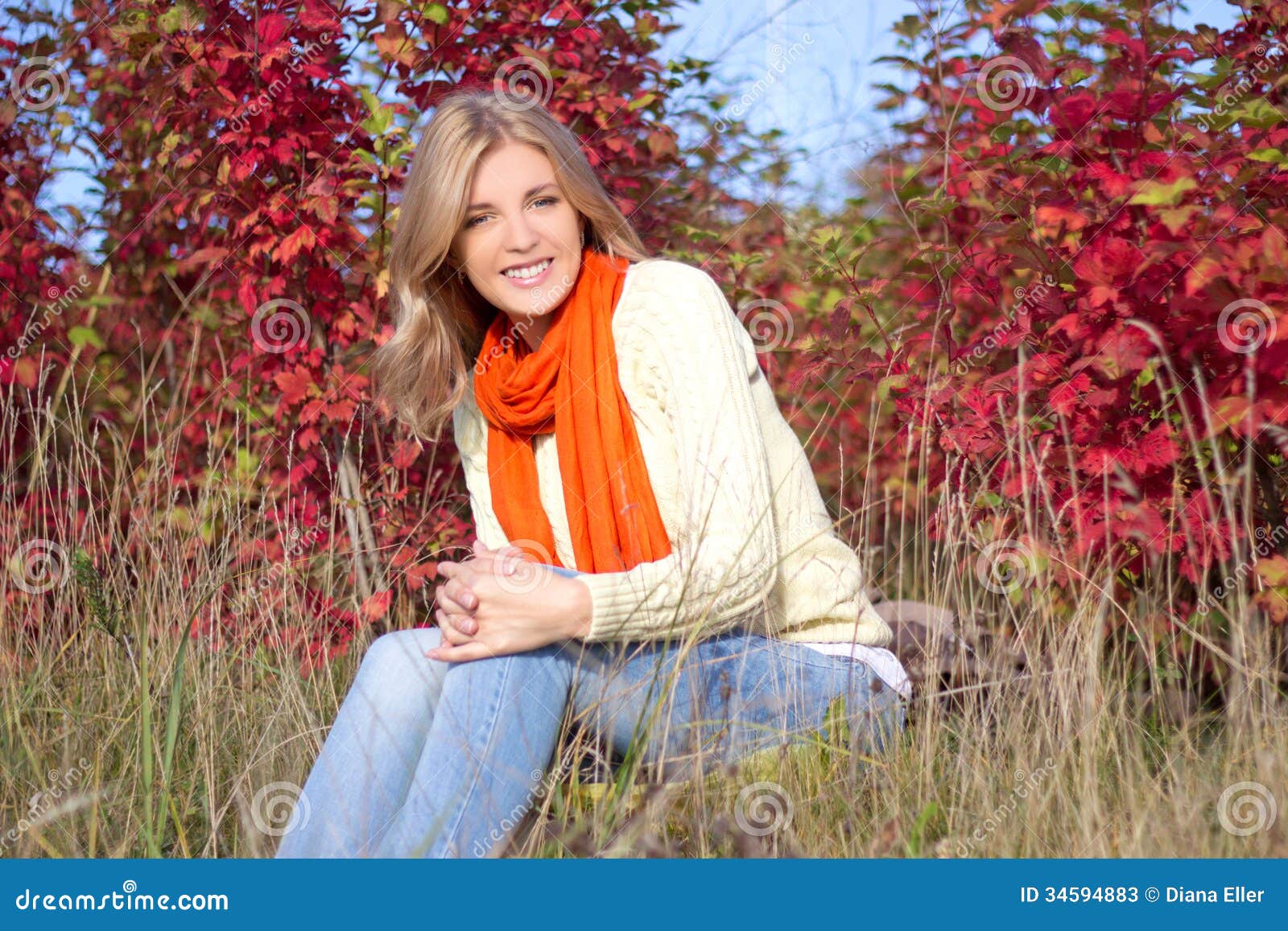 Portrait of Young Beautiful Woman Sitting in Autumn Park Stock Image ...