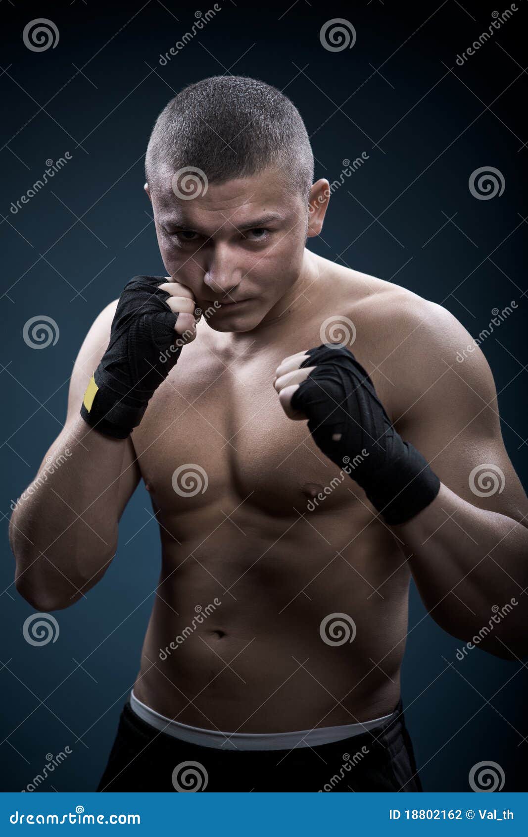 Portrait of a young boxer stock photo. Image of boxing 18802162