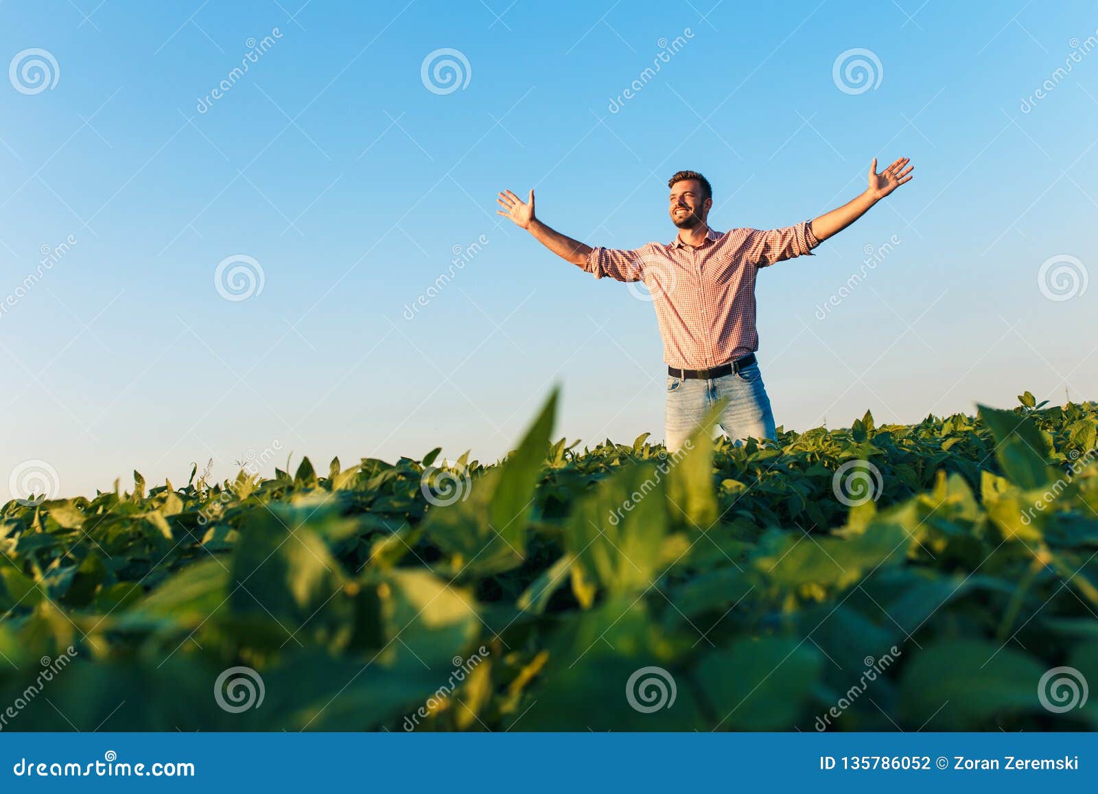 1,116 Soybean Field Man Photos - Free & Royalty-Free Stock Photos from  Dreamstime