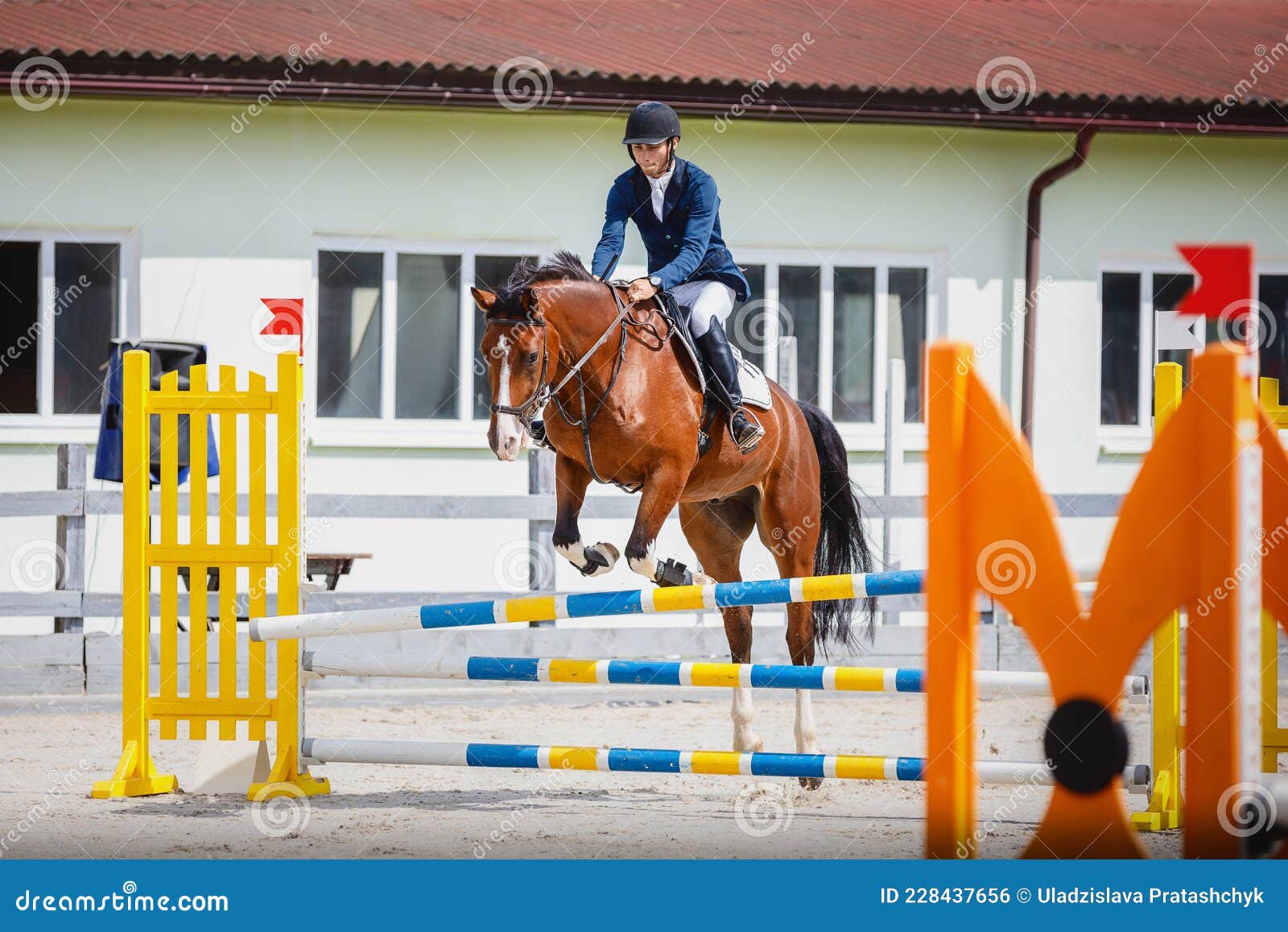 young gelding horse and adult man rider knocked jump pole during equestrian show jumping competition