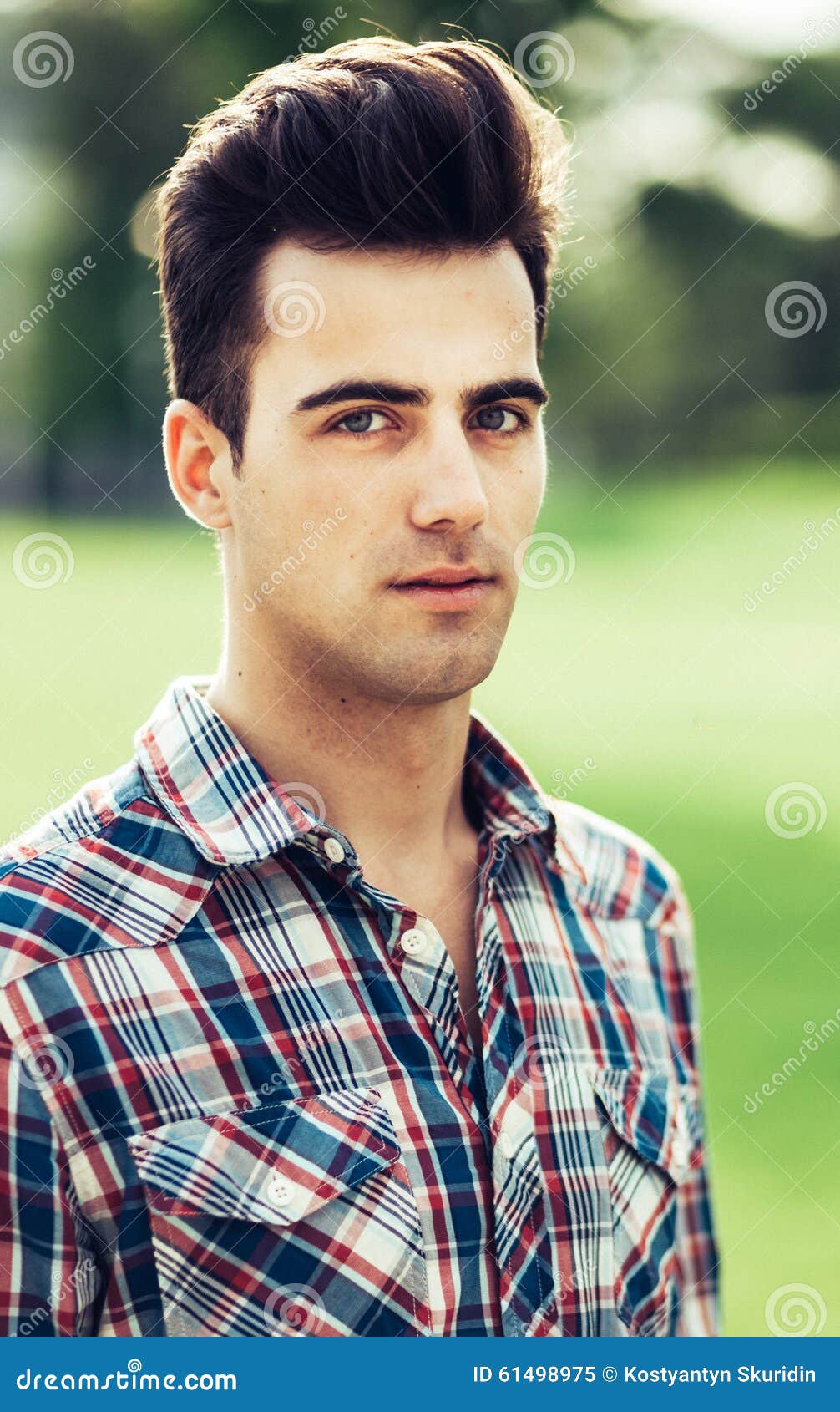 Portrait of a Young Man in Plaid Shirt Stock Image - Image of necktie ...