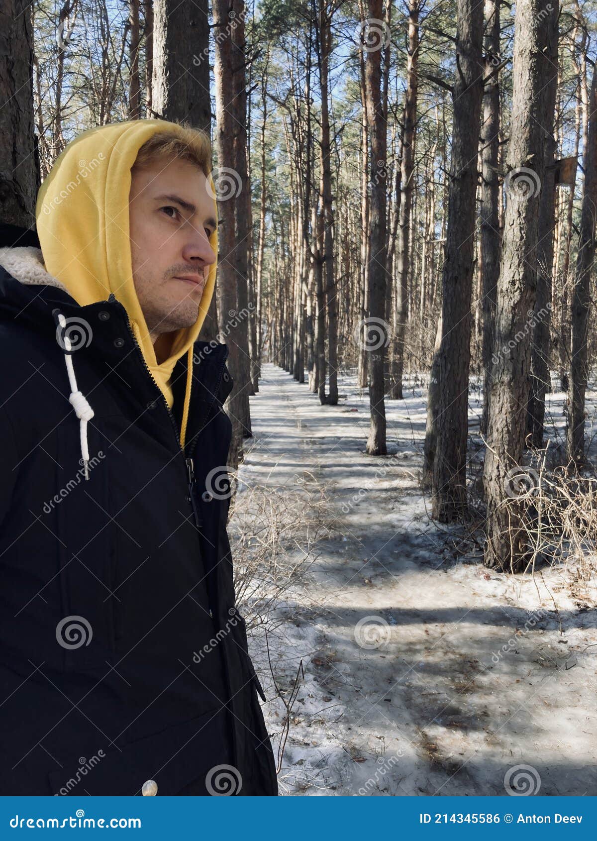 Collection 34+ Pictures a young man walks through the forest Stunning Collection 34+ Pictures a young man walks through the forest Stunning