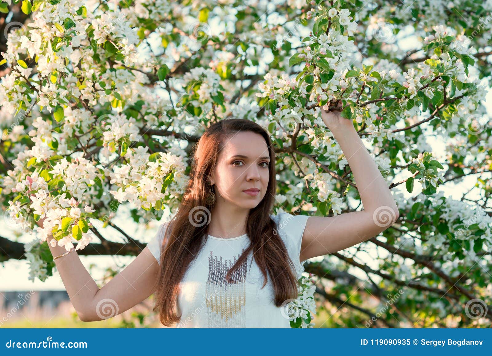 Beautiful Woman In Blossoming Apple Trees Stock Image Image Of Girl Outdoor 119090935