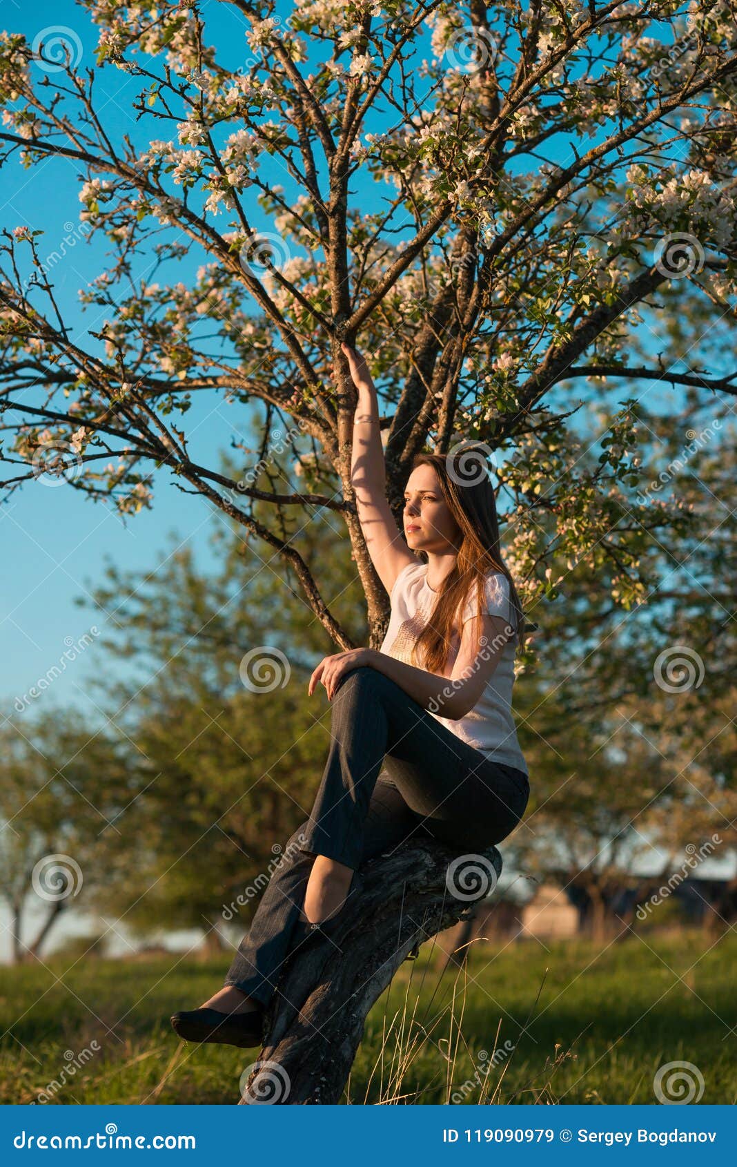 Beautiful Woman In Blossoming Apple Trees Stock Image Image Of Brunette Garden 119090979