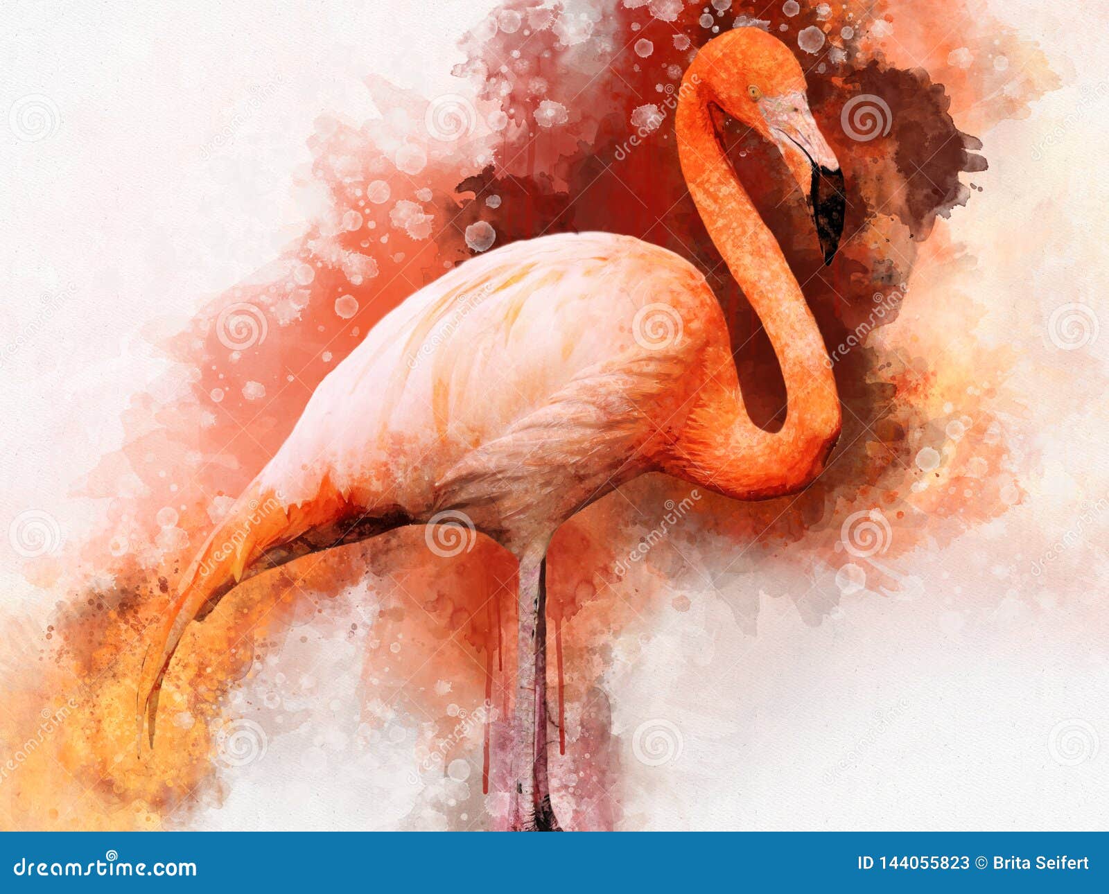 portret of a flamingo, watercolor painting. red flamingo phoenicopterus ruber, zoological , hand drawing