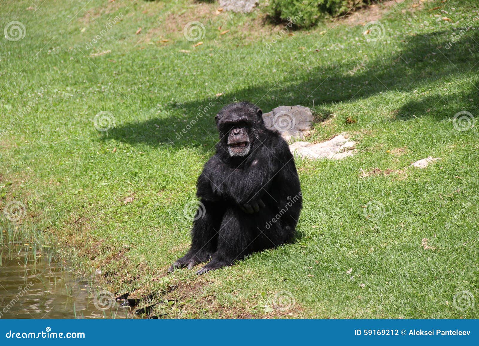 portugal, lisbon zoo