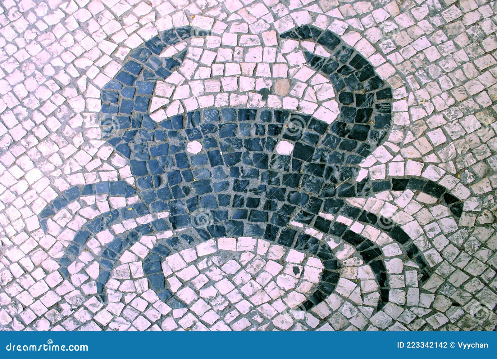 portuguese macau mosaic arts craftsmanship marine life crab macao mosaico cobblestone street cultural heritage architecture