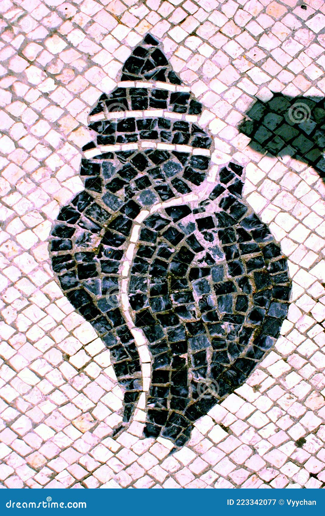 portuguese macau mosaic arts craftsmanship marine life shellfish macao mosaico cobblestone street cultural heritage architecture