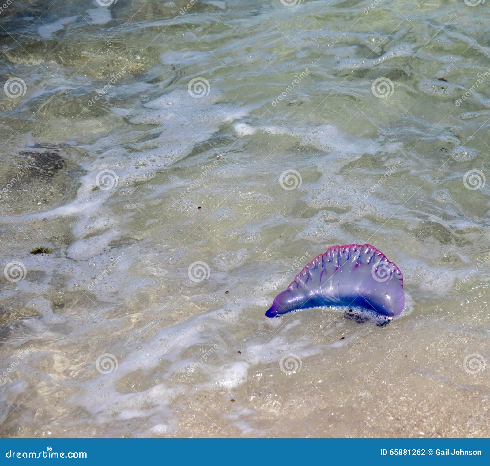 My Image 32