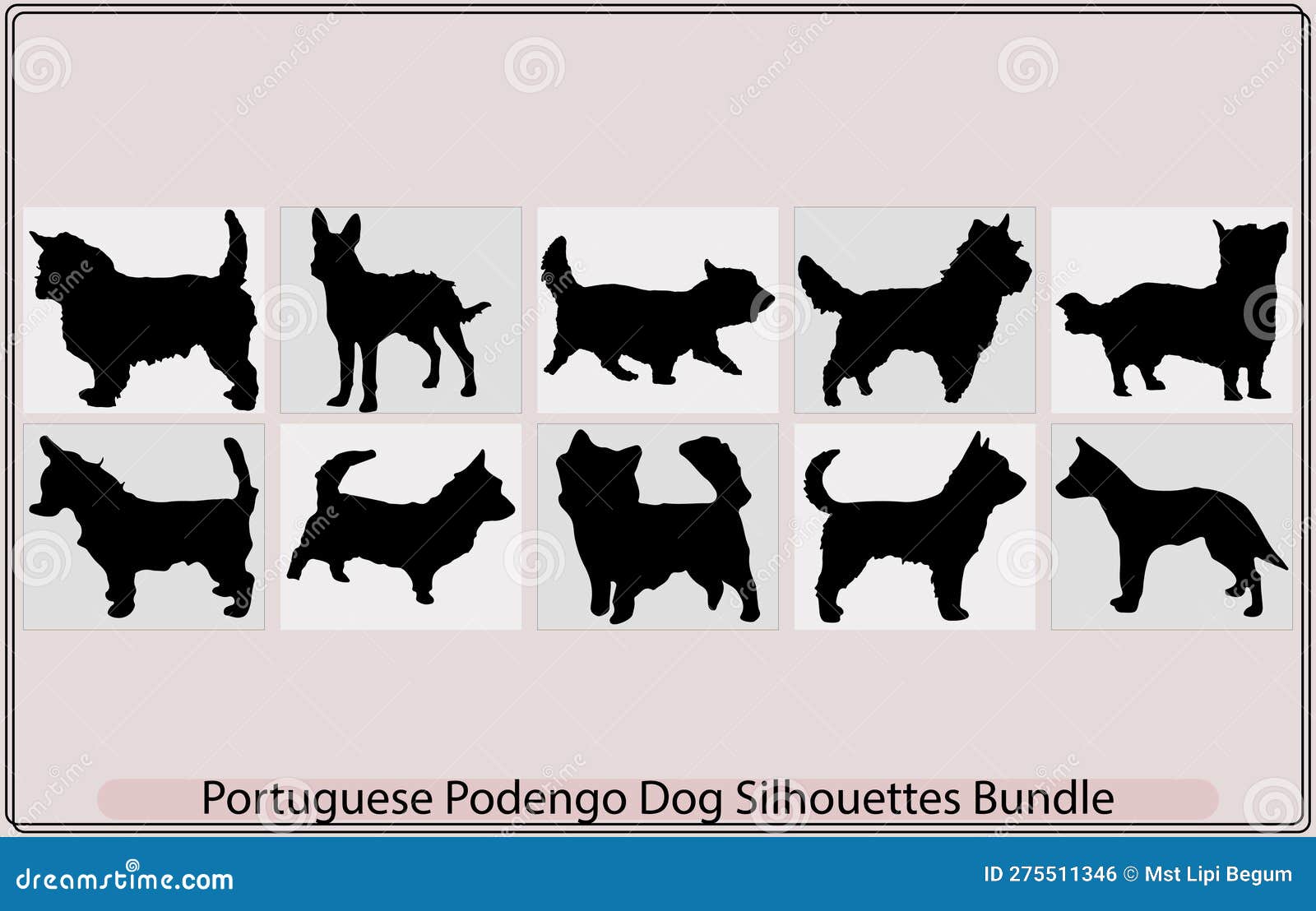 portuguese podengo pequeno dog silhouette,colorful decorative portrait of standing in profile wire coat portuguese podeng