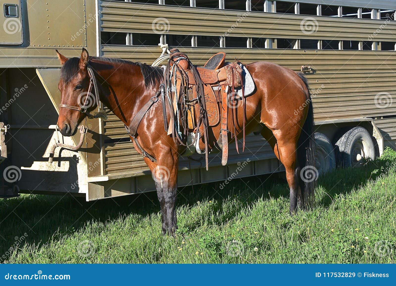 Featured image of post Fotos De Cavalos De Vaquejada Selados Cavalos quarto de milha vaquejada cavalos lindos animais selvagens animais de estima o fazendas esp rito selvagem imagens de cavalos fotos de cavalos cavalo andaluz videos de cavalo cavalos mangalarga cavalos raros pintura de