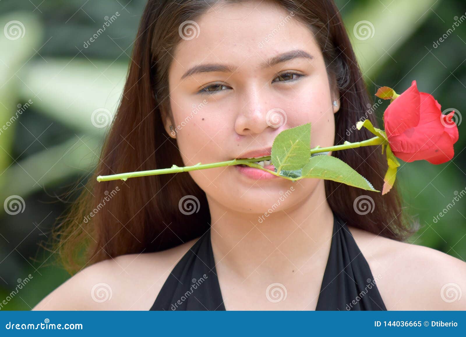 Posing Youthful Asian Female with a Rose Stock Image Image of asian