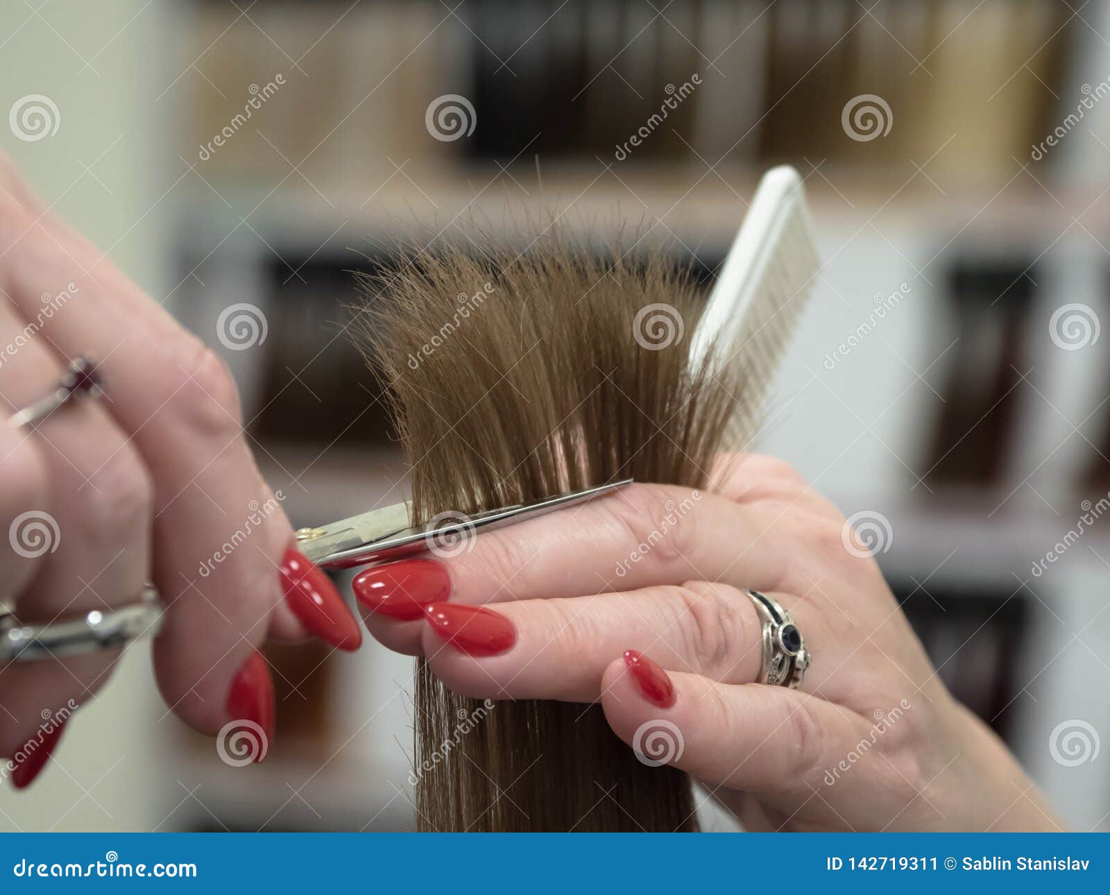 The Technique of Cutting Hair with Scissors. Stock Image Image of