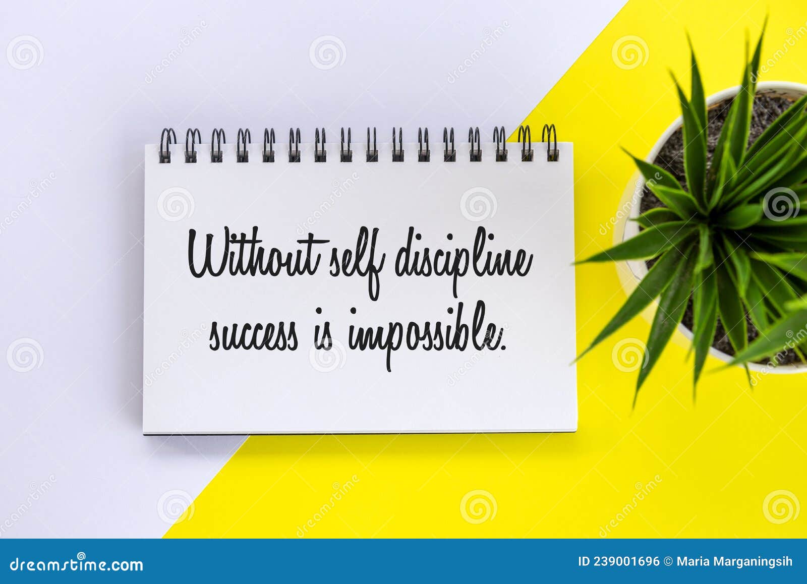 Self Discipline Concept Hand With Chalk Drawing Rising Arrow Self Discipline Concept Hand With Chalk Drawing Rising Arrow