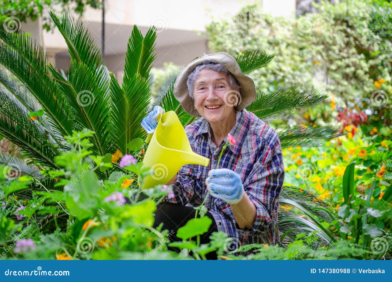 Elderly woman with yellow watering can celebrates life while working in her garden because gardening improves wellbeing.