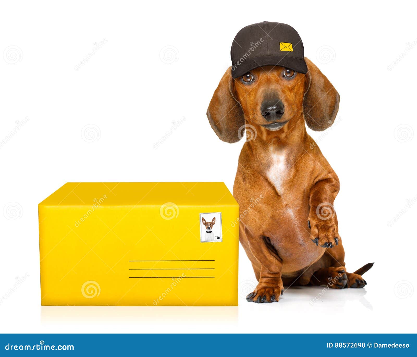 puppy delivery mail delivery post royalty free stock image cartoondealer 69538858 puppy delivery mail delivery post royalty free stock image cartoondealer 69538858