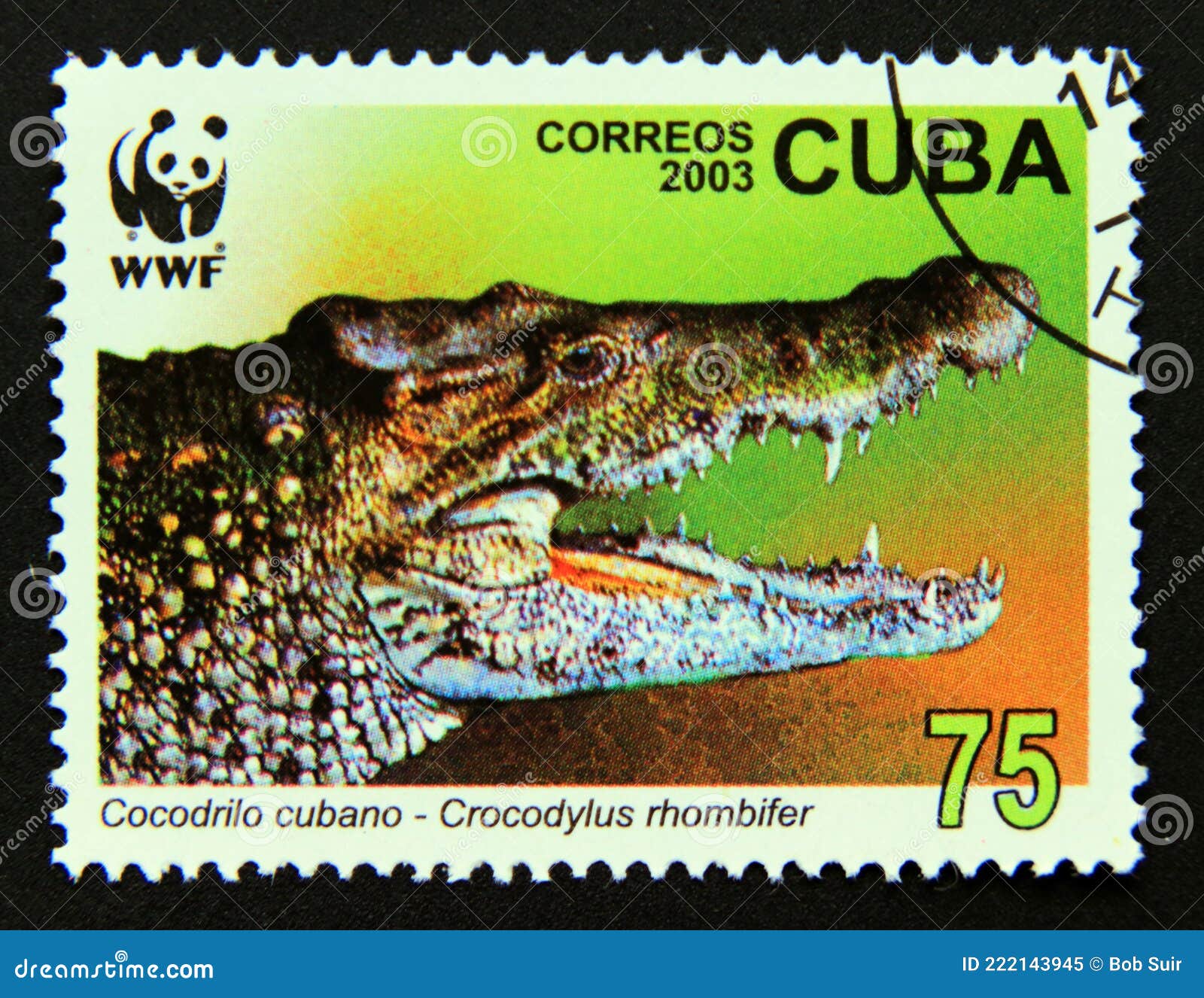 Postage Stamp Cuba Cuban Crocodile Crocodylus Rhombifer Editorial Image  Image Of Mailsexiezpix Web Porn