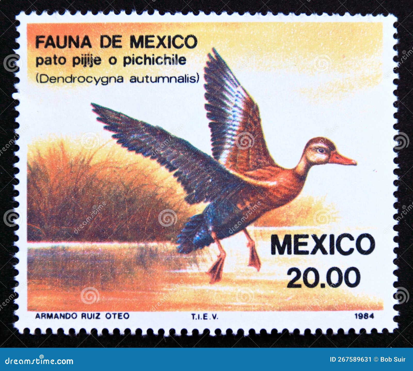 ANIMAL STAMPS – GrupoMexicanoMX