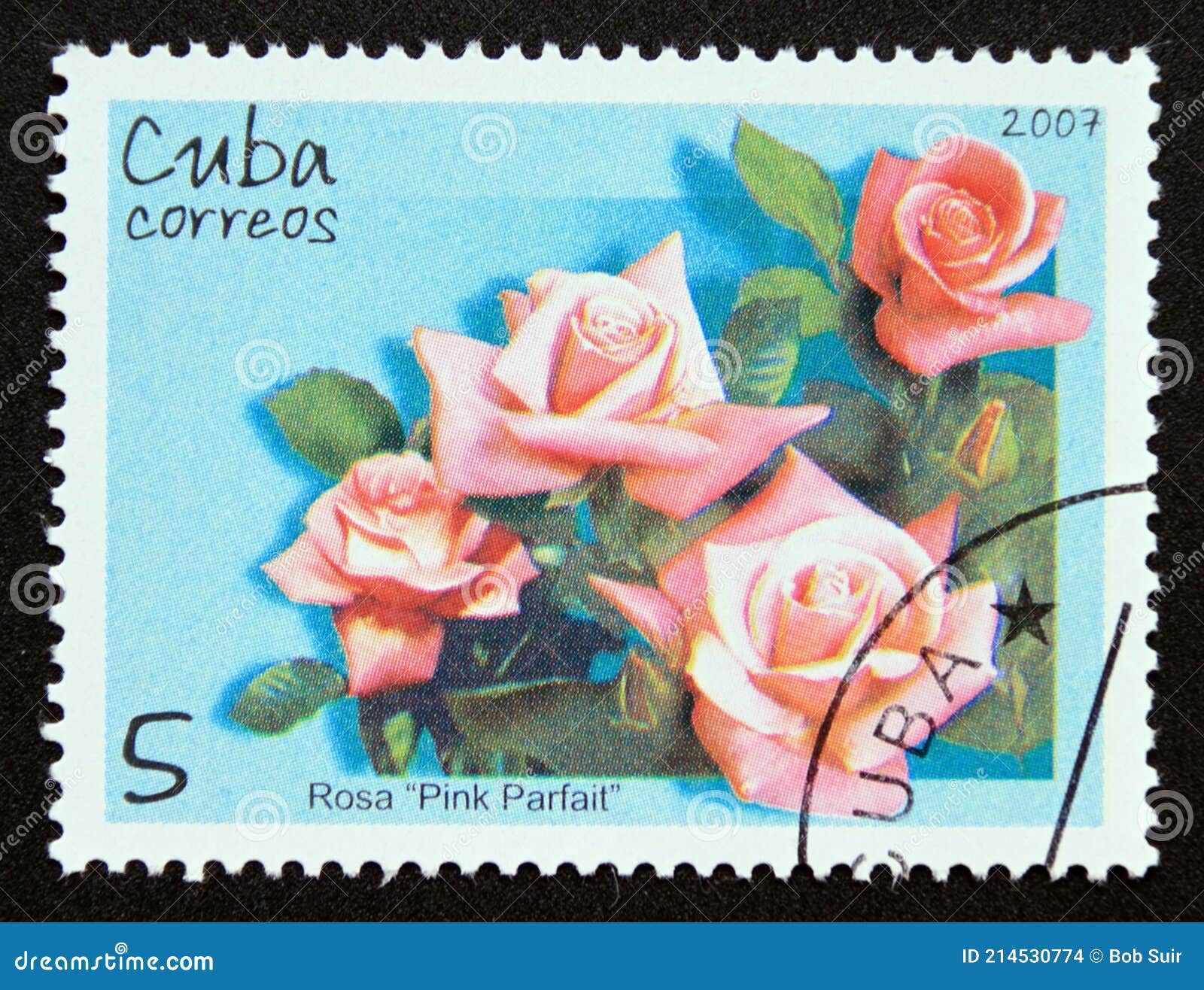Red rose cuban List of