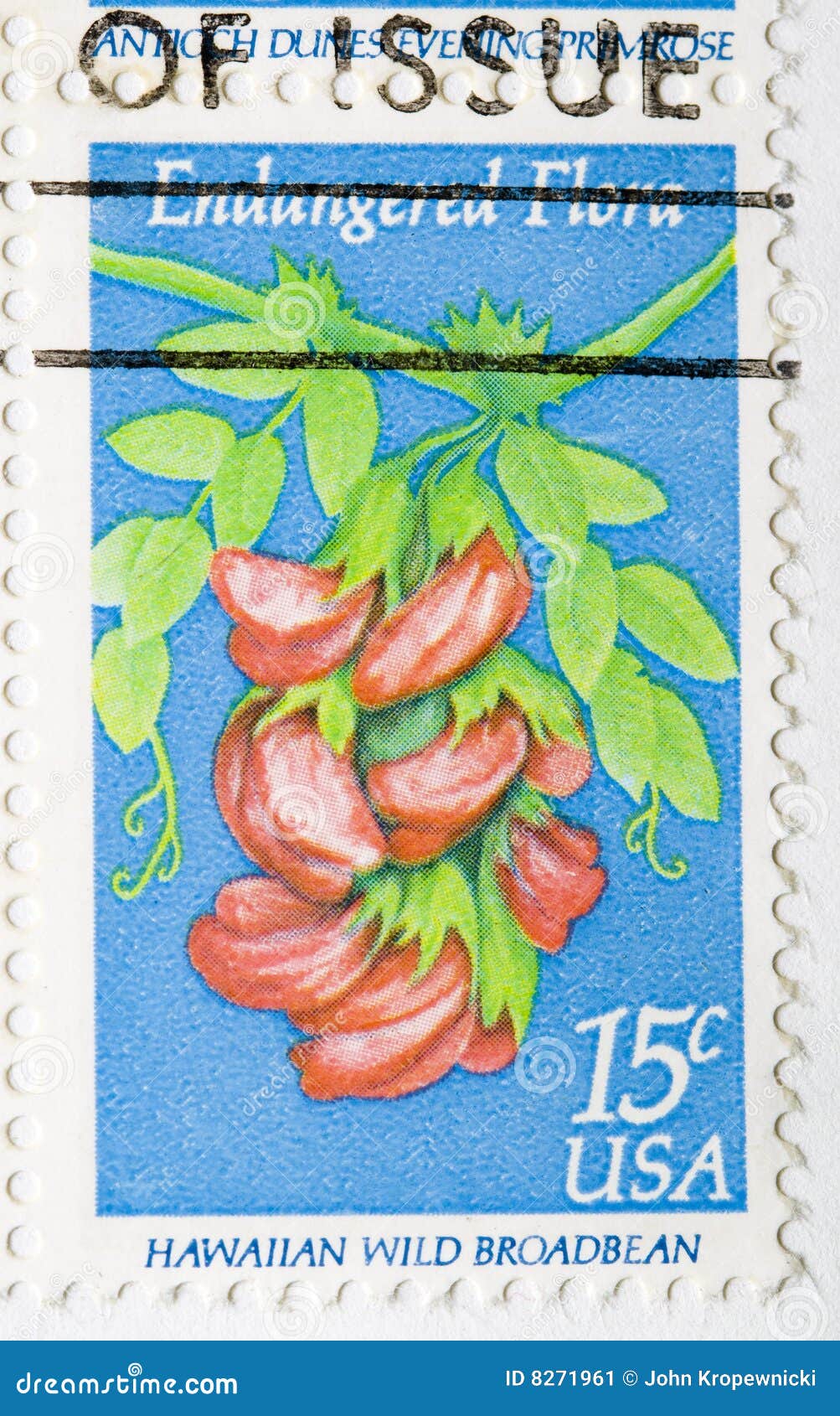 Postage Stamp Hawaiian Wild Broadbean Editorial Photo Image of hawaii