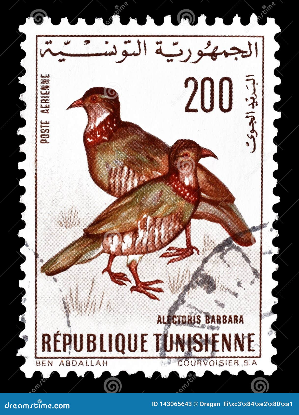 Птицы туниса