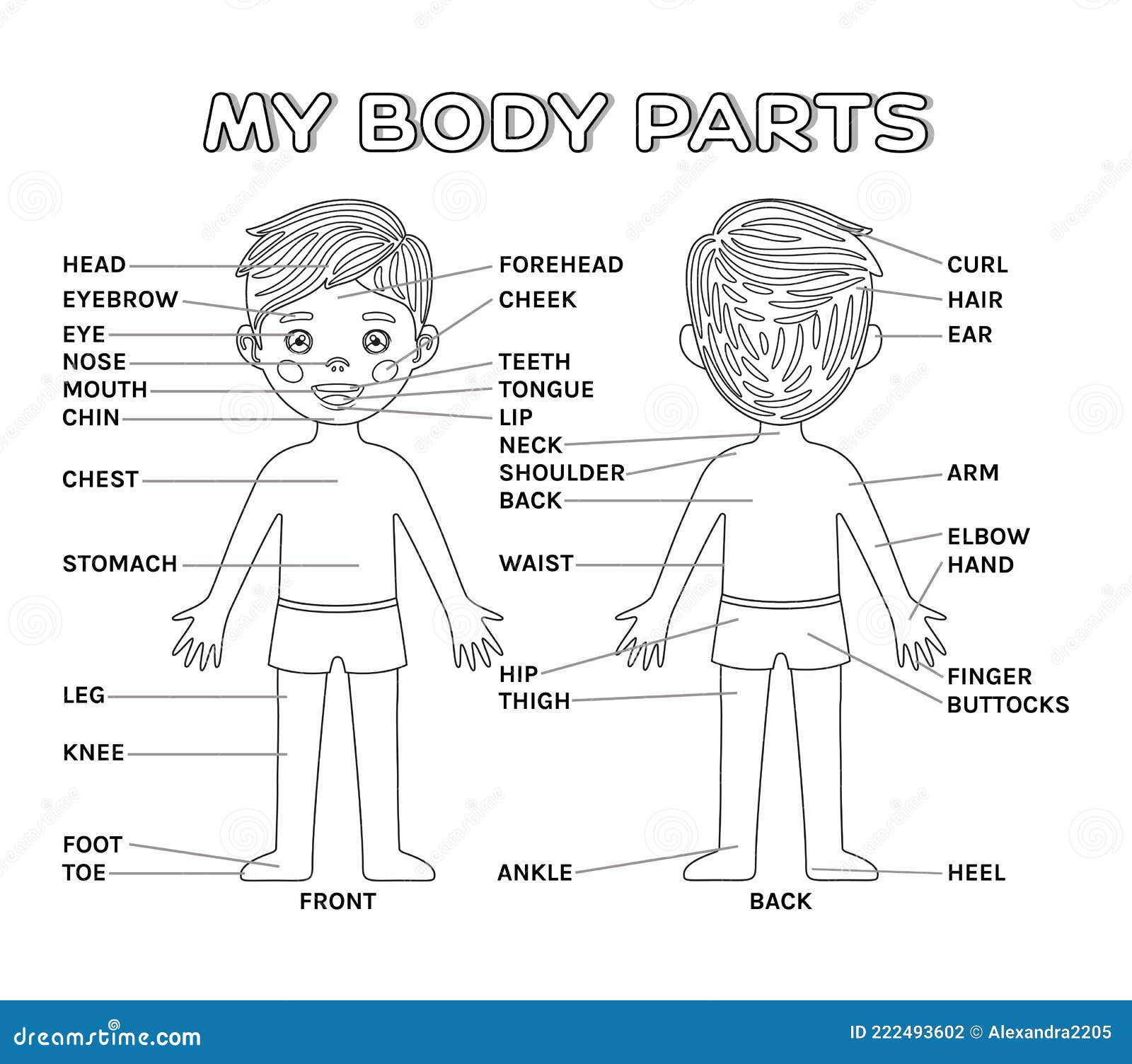 Poster The Parts of the Body boy boy mouth for children's room