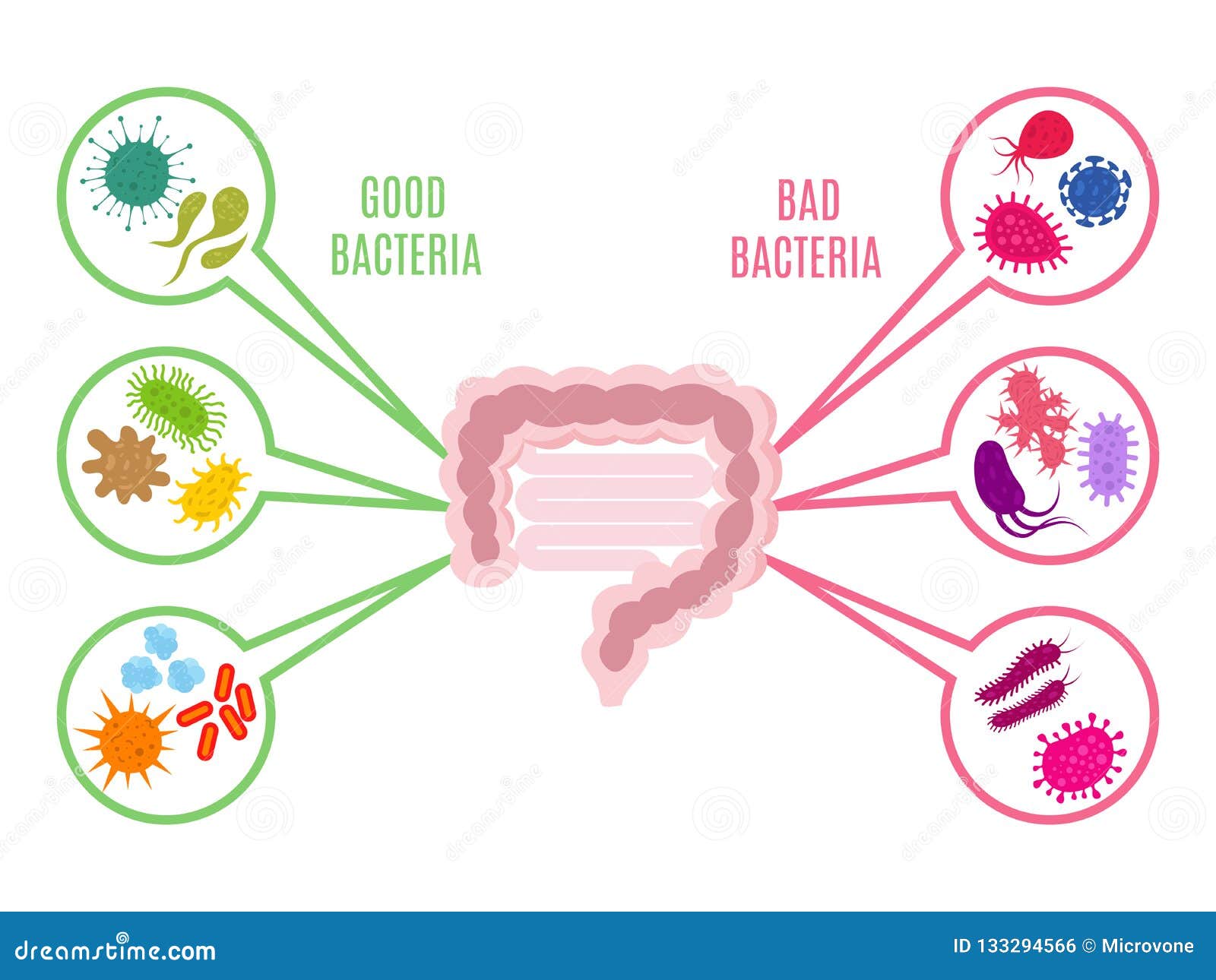poster of intestinal flora gut health  concept with bacteria and probiotics icons  on white background