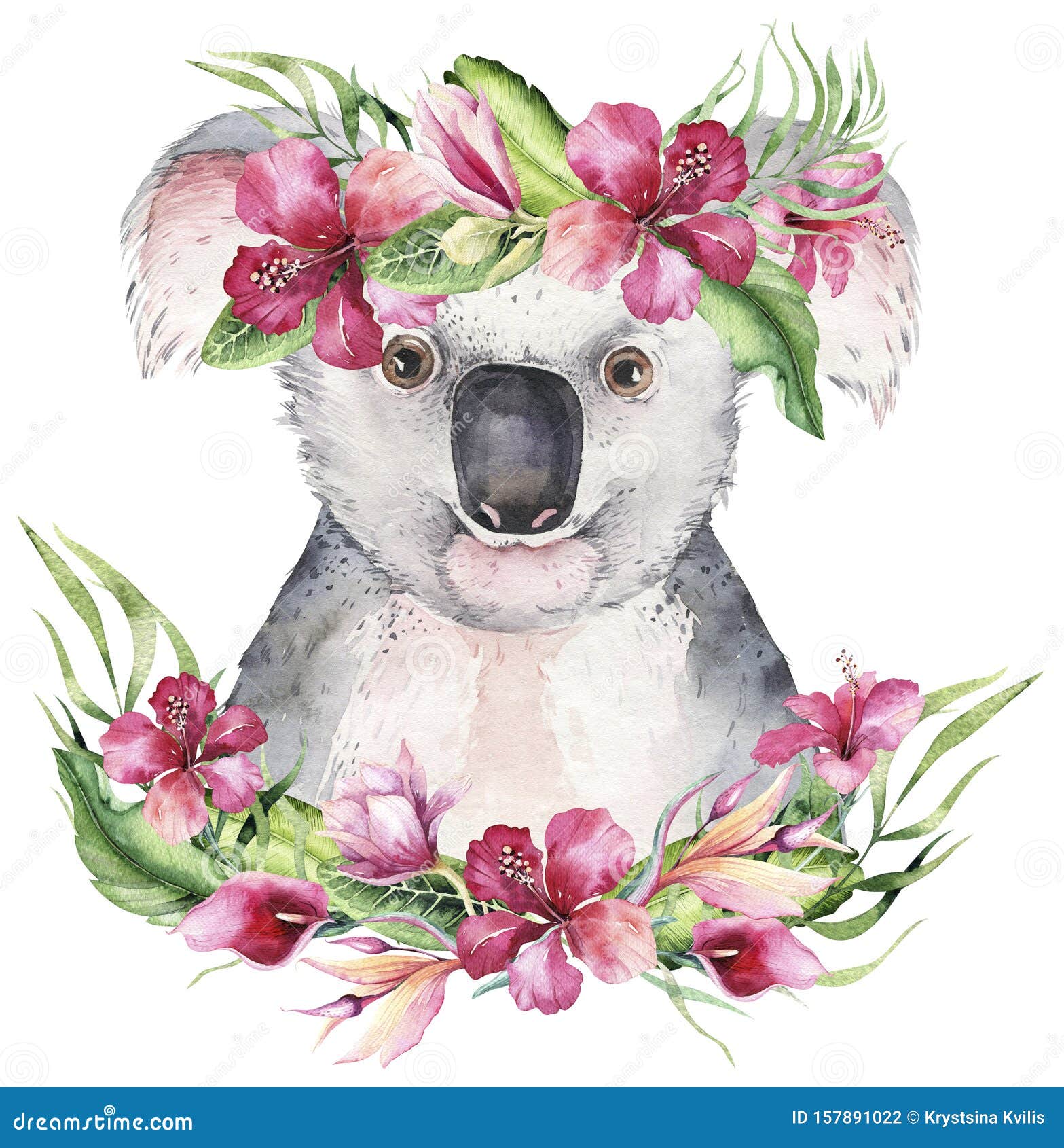 Floral Koala Paint By Numbers 