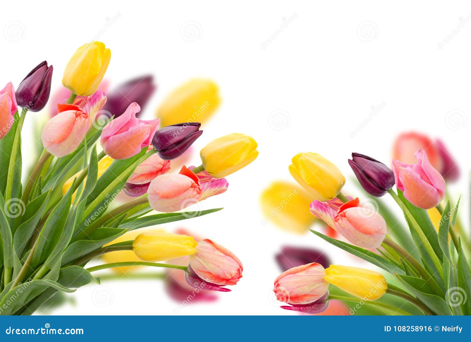 Posy of Tulips Flowers Close Up Stock Photo - Image of posy, background ...