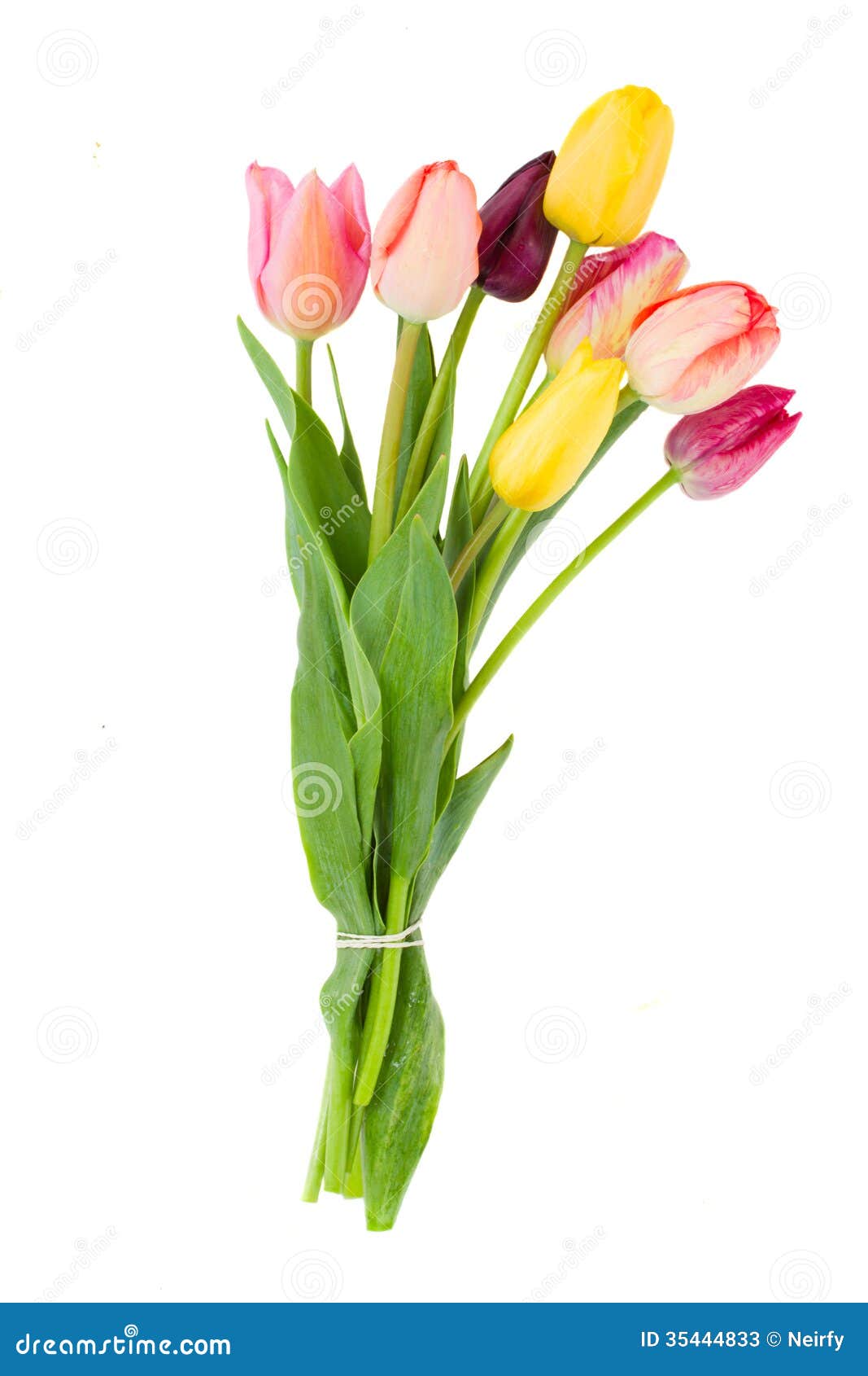 Download Posy of tulips flowers stock image. Image of floral, bloom ...