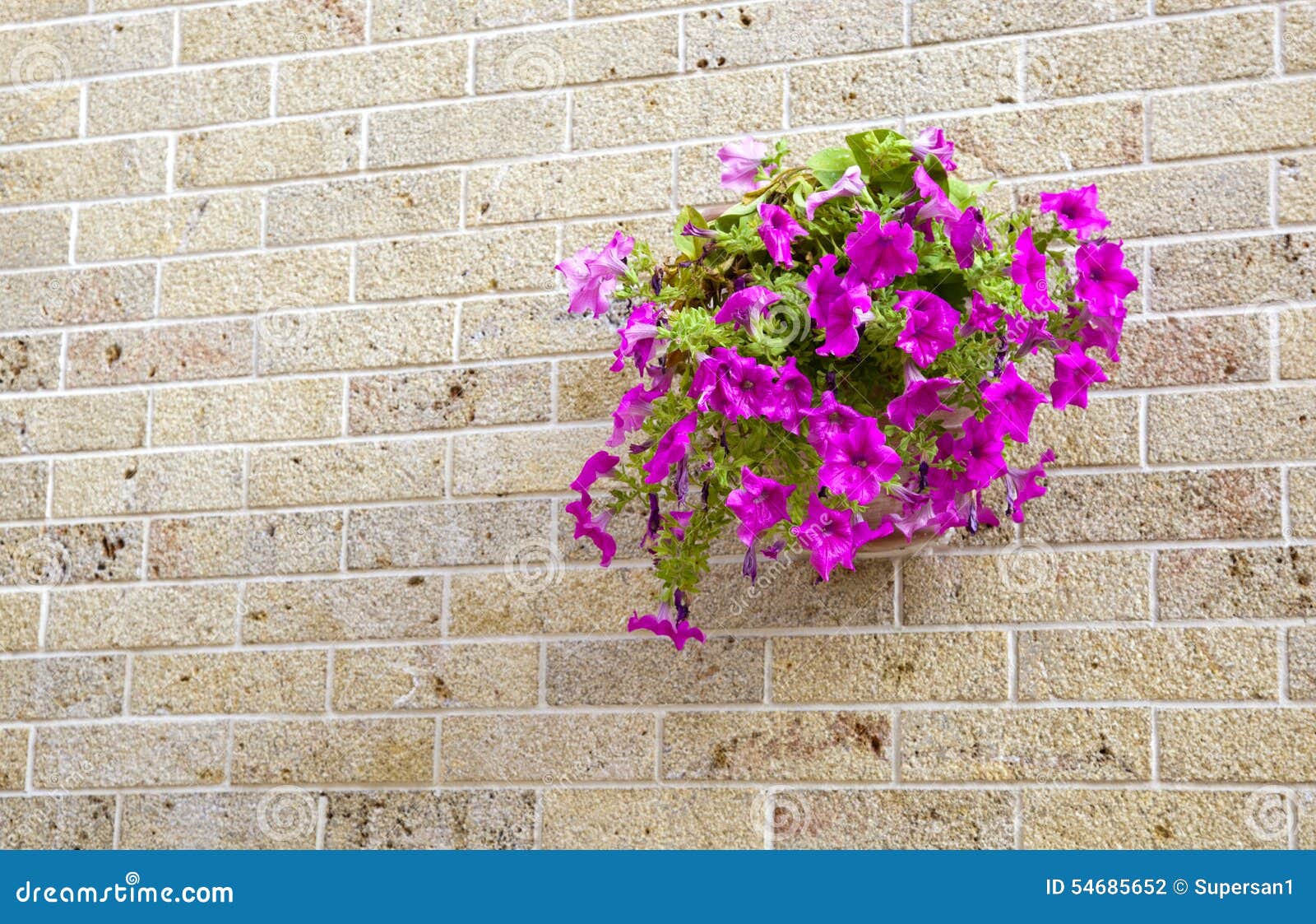 Pot with Flowers Hanging on a Brick Wall Stock Photo Image of plant