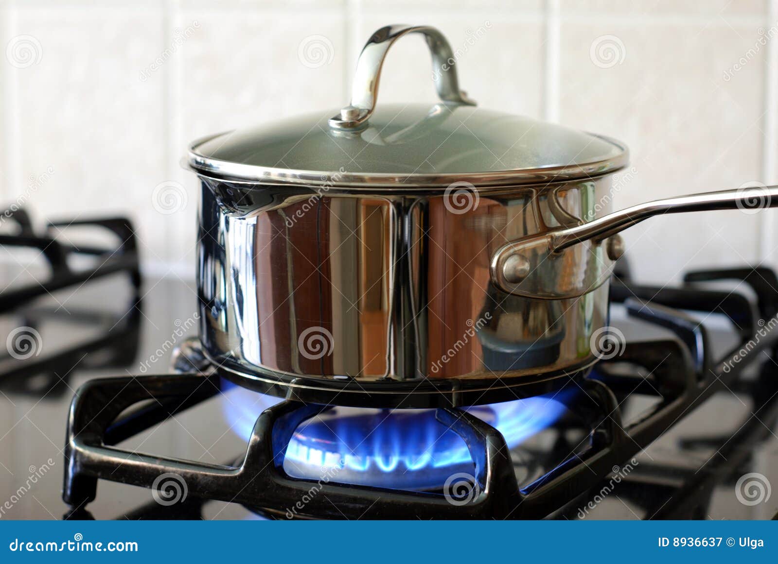 pot on the gas stove