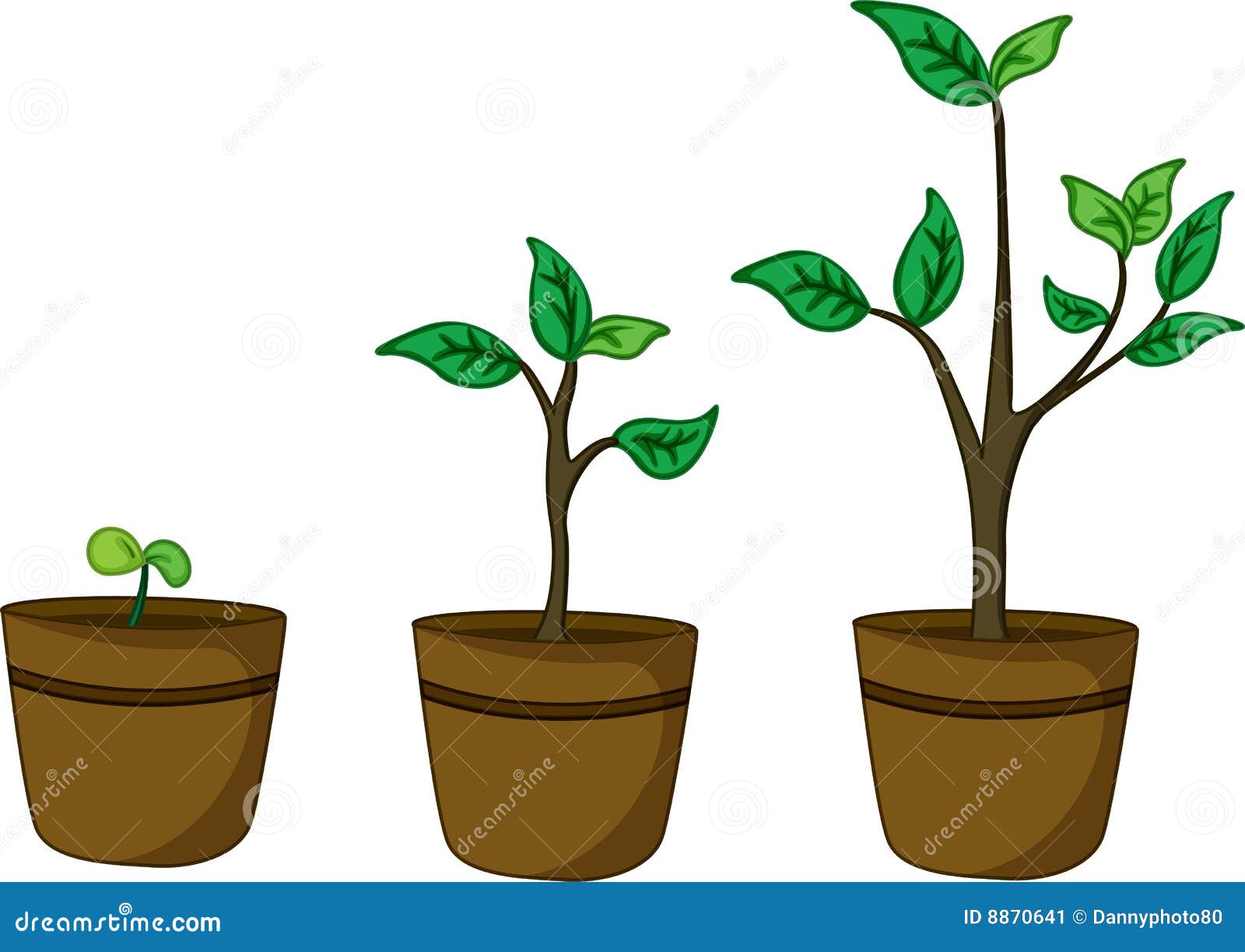 Pot Plants Stock Image - Image: 8870641